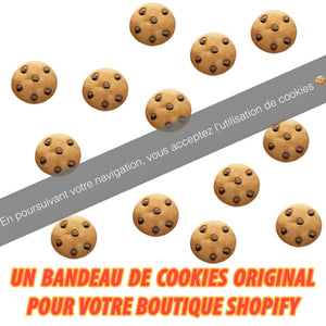 Comment installer un bandeau de cookies original sur votre boutique Shopify